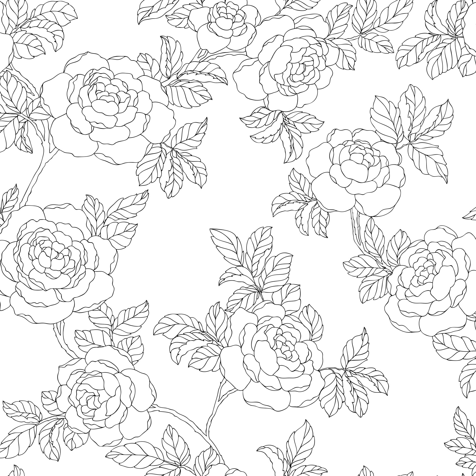 Inez, Vit/Svart- 381-02